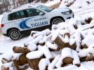 Volkswagen Tiguan: Классный кросс - фотография 16